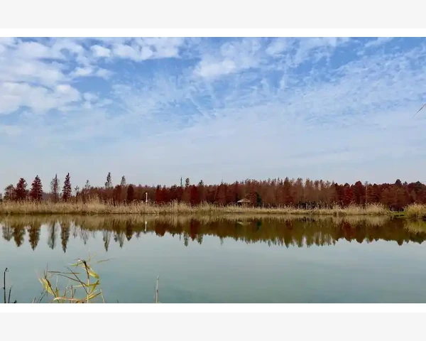 花生牛奶：清肺佳品还是神话传说？