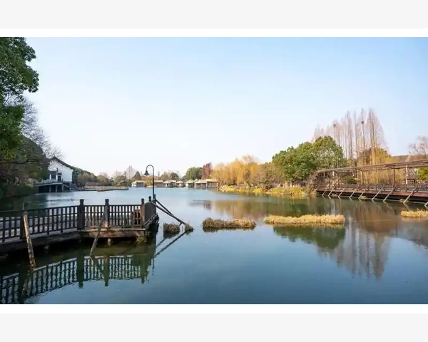 儿童补气血的最佳药物推荐与养生指南